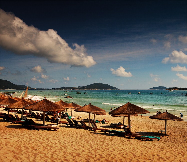 三亚椰子林风景区攻略,三亚的椰子为什么没人摘