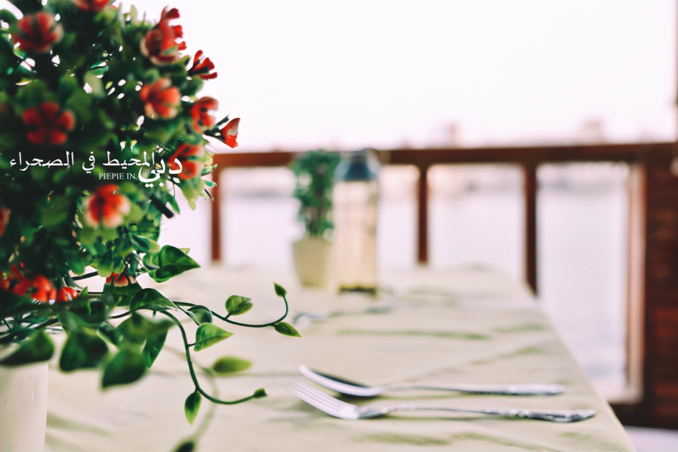 土豪之旅迪拜,迪拜土豪之旅