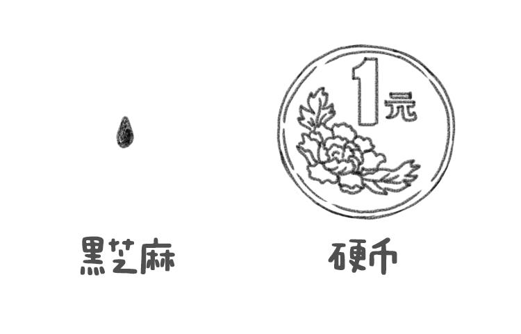 洗干净的黑芝麻怎么炒,常吃黑芝麻的好处真实案例