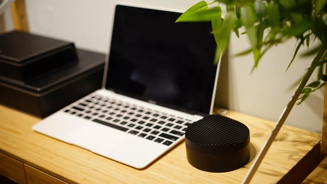 日本人历时50年研制,用“大豆”除甲醛,无毒无害,母婴均可用