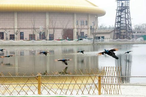 南通森林野生动物园门票团购双人,南通森林野生动物园门票活动团购