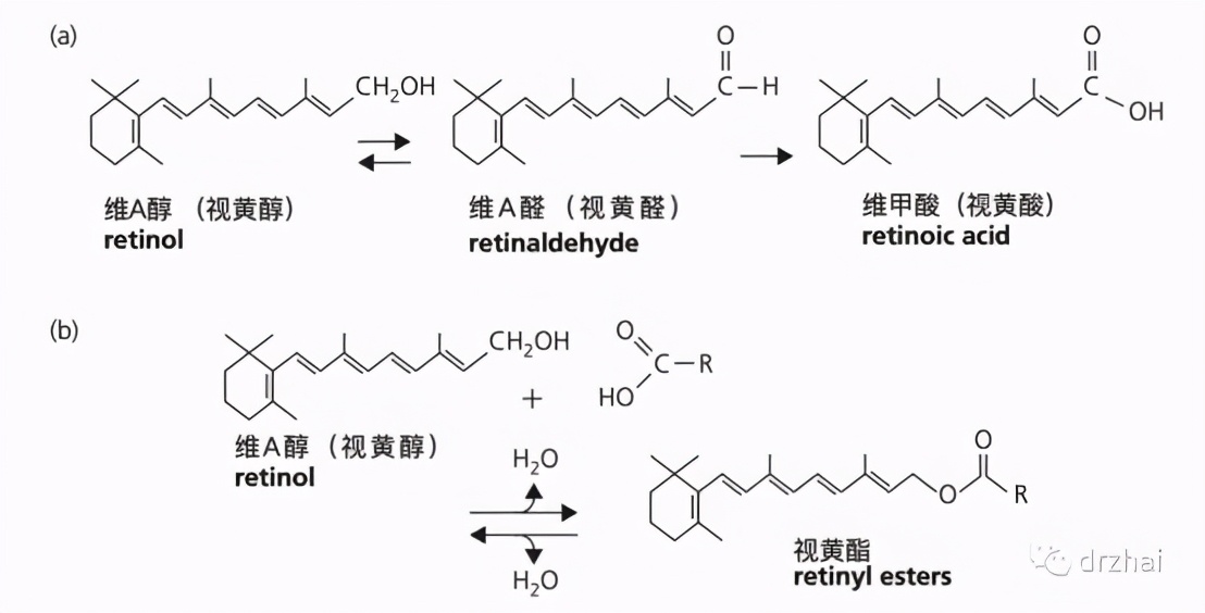 现在最流行的a醇,公认的a醇值得用吗