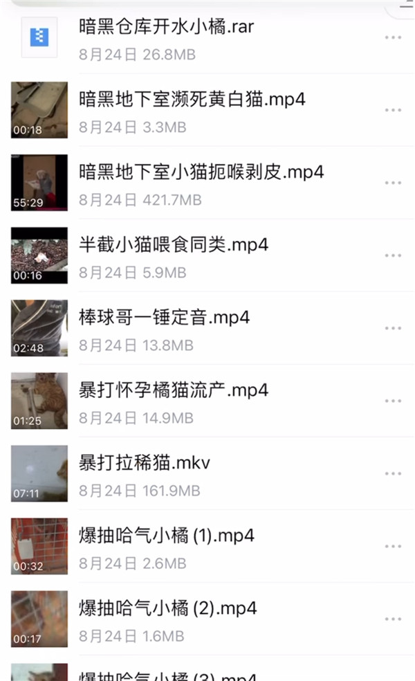 虐猫事件频发的背后：40元能买100G虐猫视频，施暴者认为“猫是恶魔”