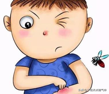 炎炎夏日防止蚊虫叮咬,专家警告夏天一定要严防蚊虫叮咬