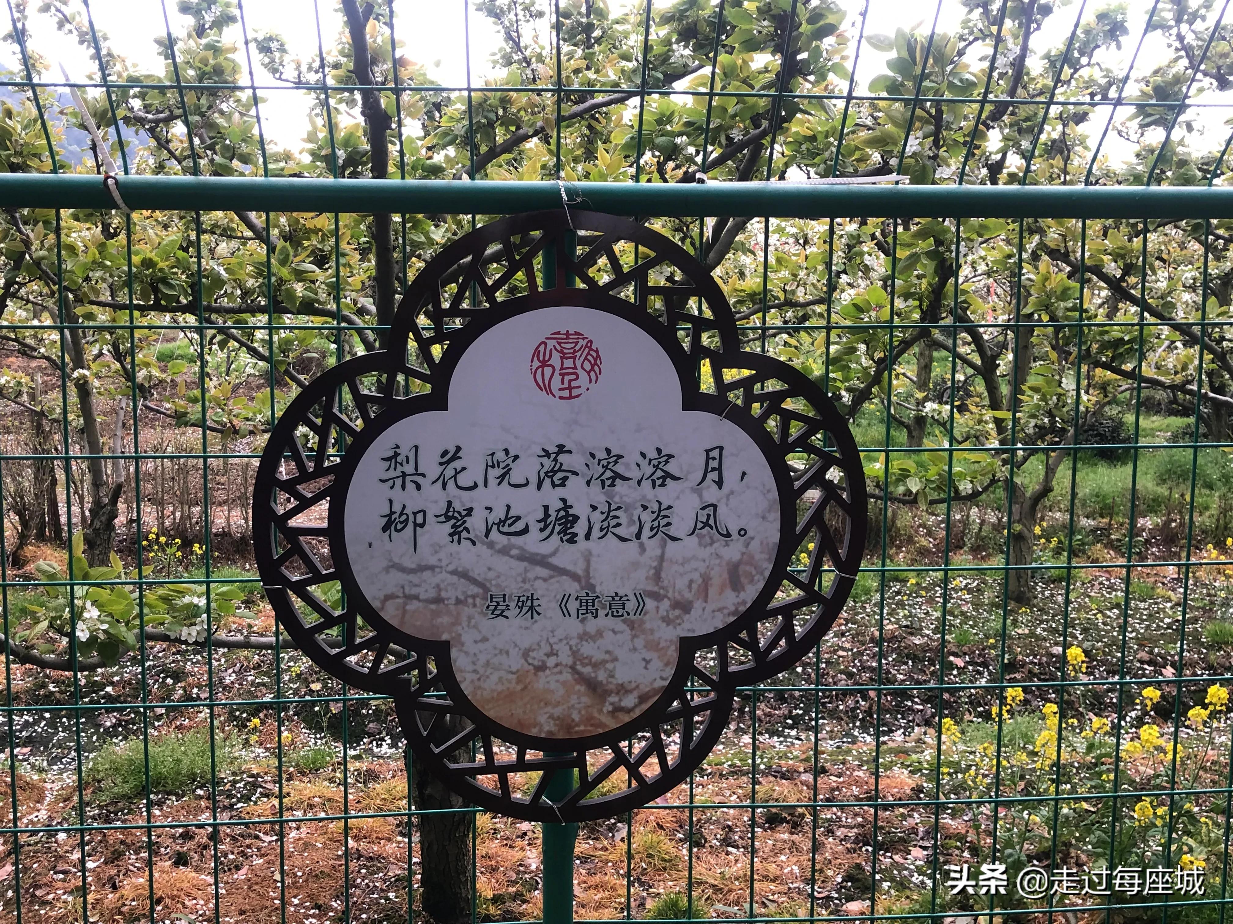 苏州小众却很棒的原生态的古镇,苏州必去的古村