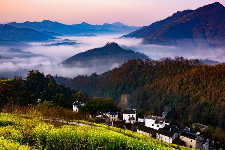 钟智老师（麦高）带您看歙县坡山油菜花