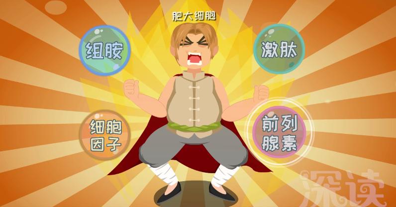 麻疹发病机制,荨麻疹发病机理