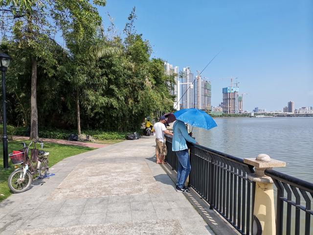 冬天筏竿钓土鲮,筏竿钓大土鲮