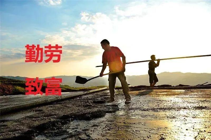 为什么没人再提勤劳致富了？