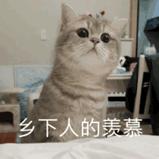 二级建造师考试难度比公务员大吗,二级建造师考试前景分析