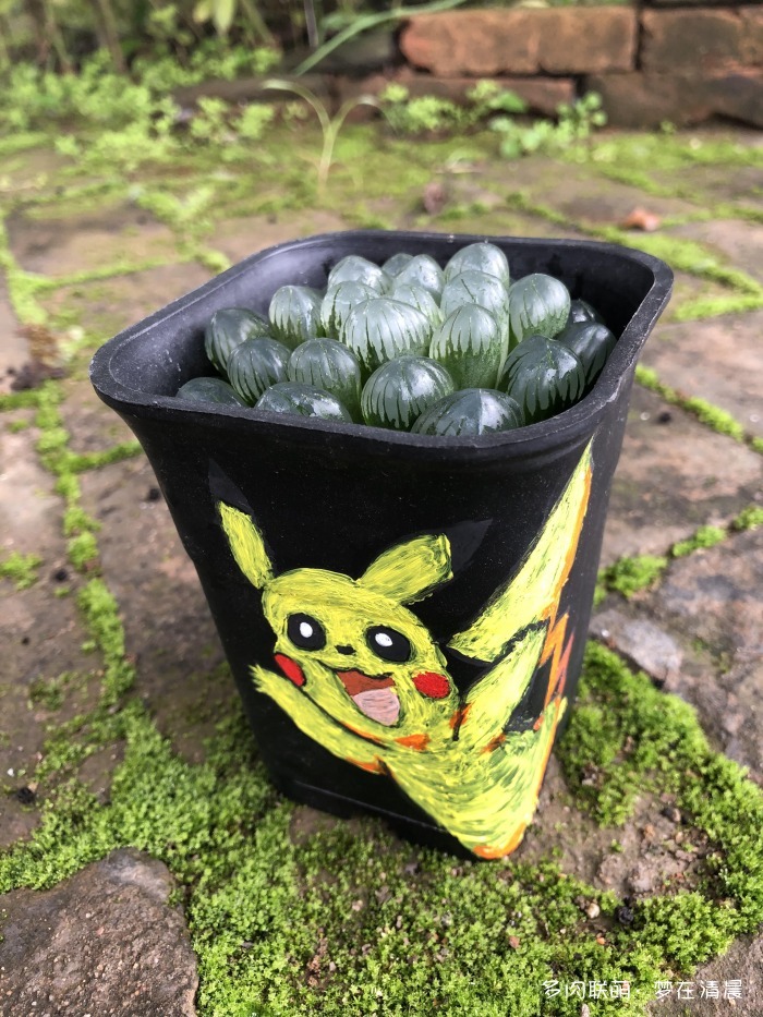 澶忚姳鏈夊摢浜涜姳,澶氳倝鏈夎姳鏈夋灉