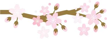 京郊最美的十大花海,京郊这些浪漫花海惊艳初秋的北京