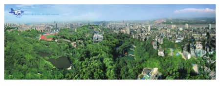 白酒年销售额过100亿的企业,白酒销量第一名泸州