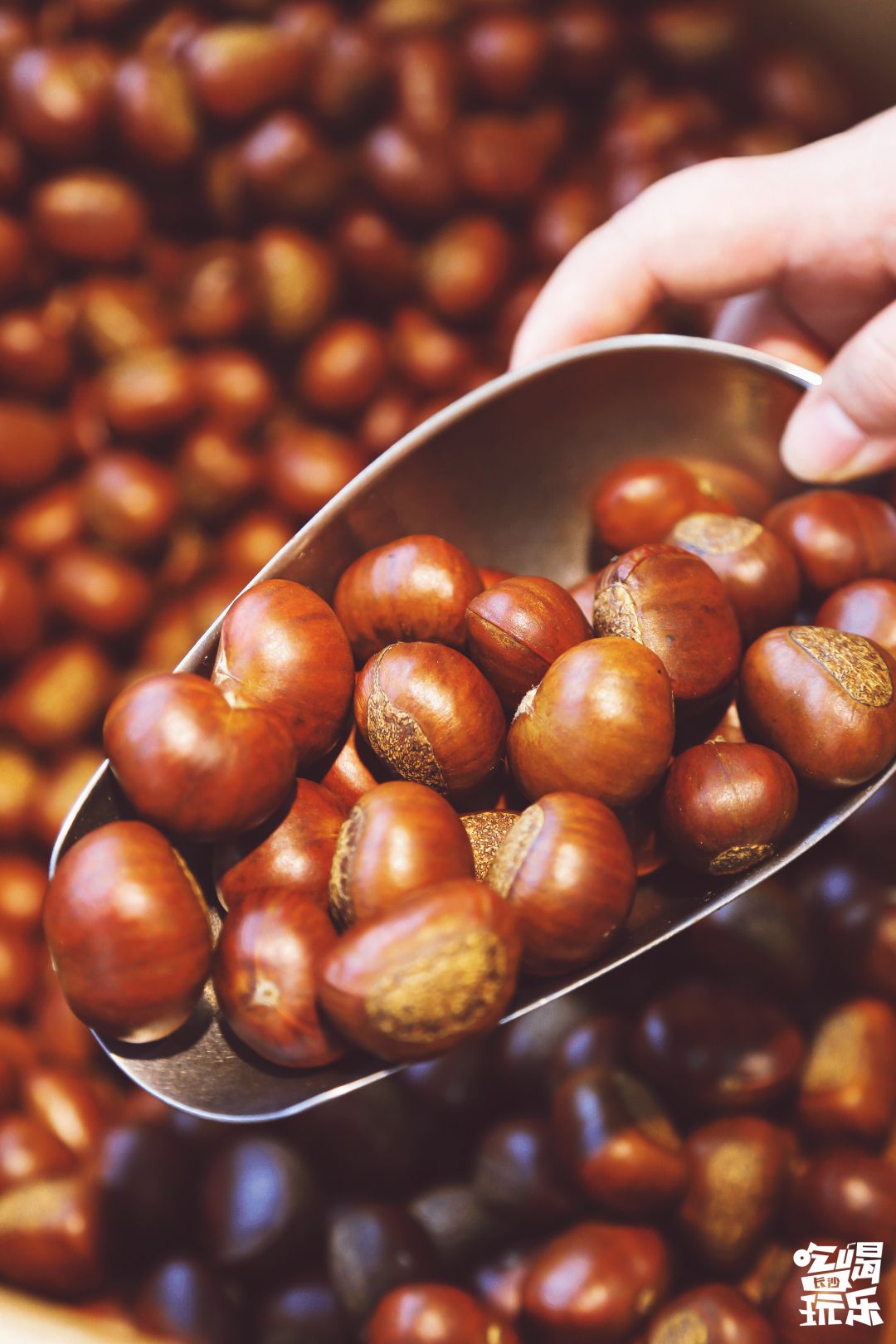 粒上皇附近门店现炒板栗最新活动,粒上皇9块9买20元现炒板栗券