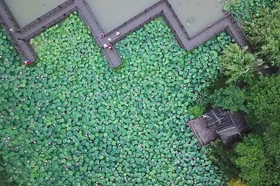 住进风景里感受温暖时光,住进夏天风景里