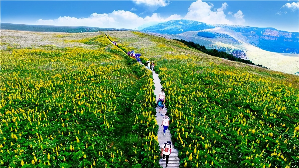 山西运城面食攻略,舌尖上的中国运城