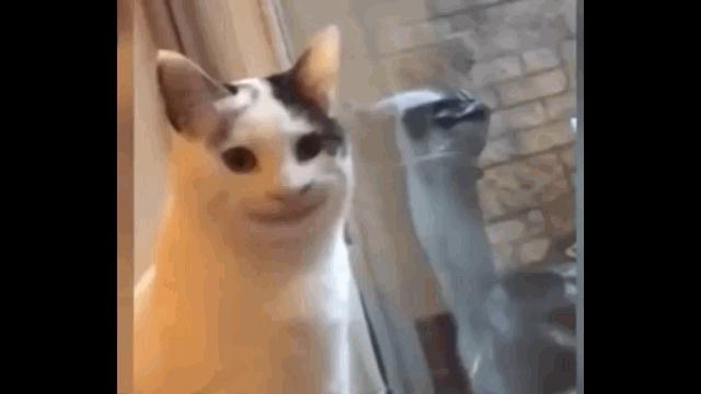 日本旅游攻略自由行准备什么,日本自由行详细路线