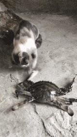 中奖2个亿图片,中奖35元吃火锅