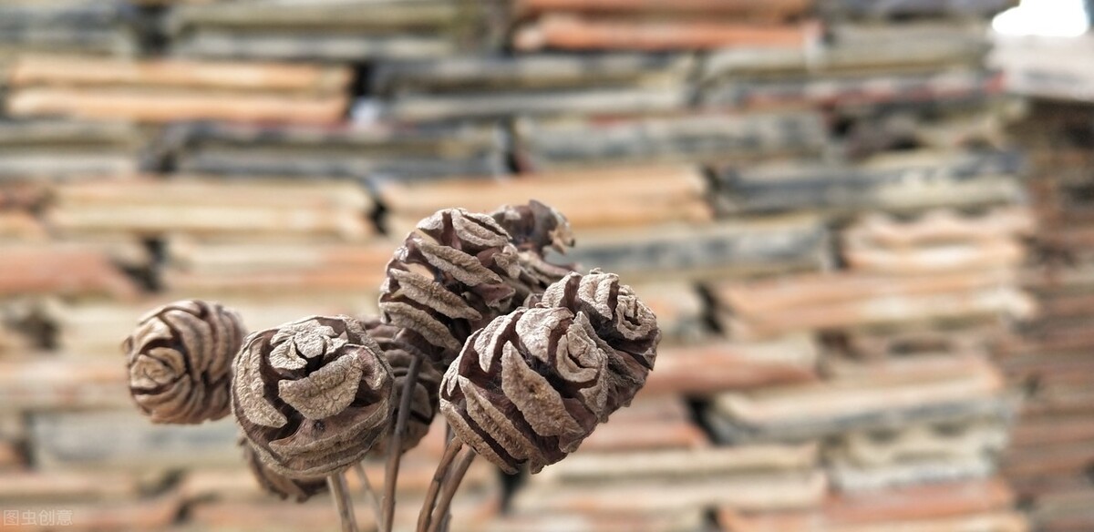 酒吧女老板需要什么心理素质,酒吧女老板性格