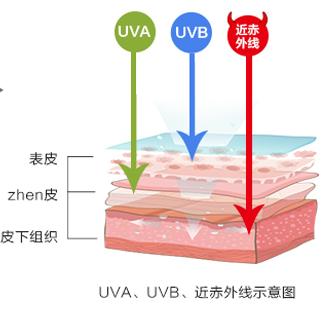 日本防晒“全能王”，李佳琦、薇娅推荐：防晒、定妆、驱蚊三合一