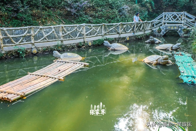 张家界团队游玩路线攻略图,张家界三日游详细攻略