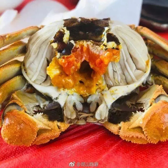 中国最有意思的县级市既是水乡界的杠把子，还有爆火的网红建筑