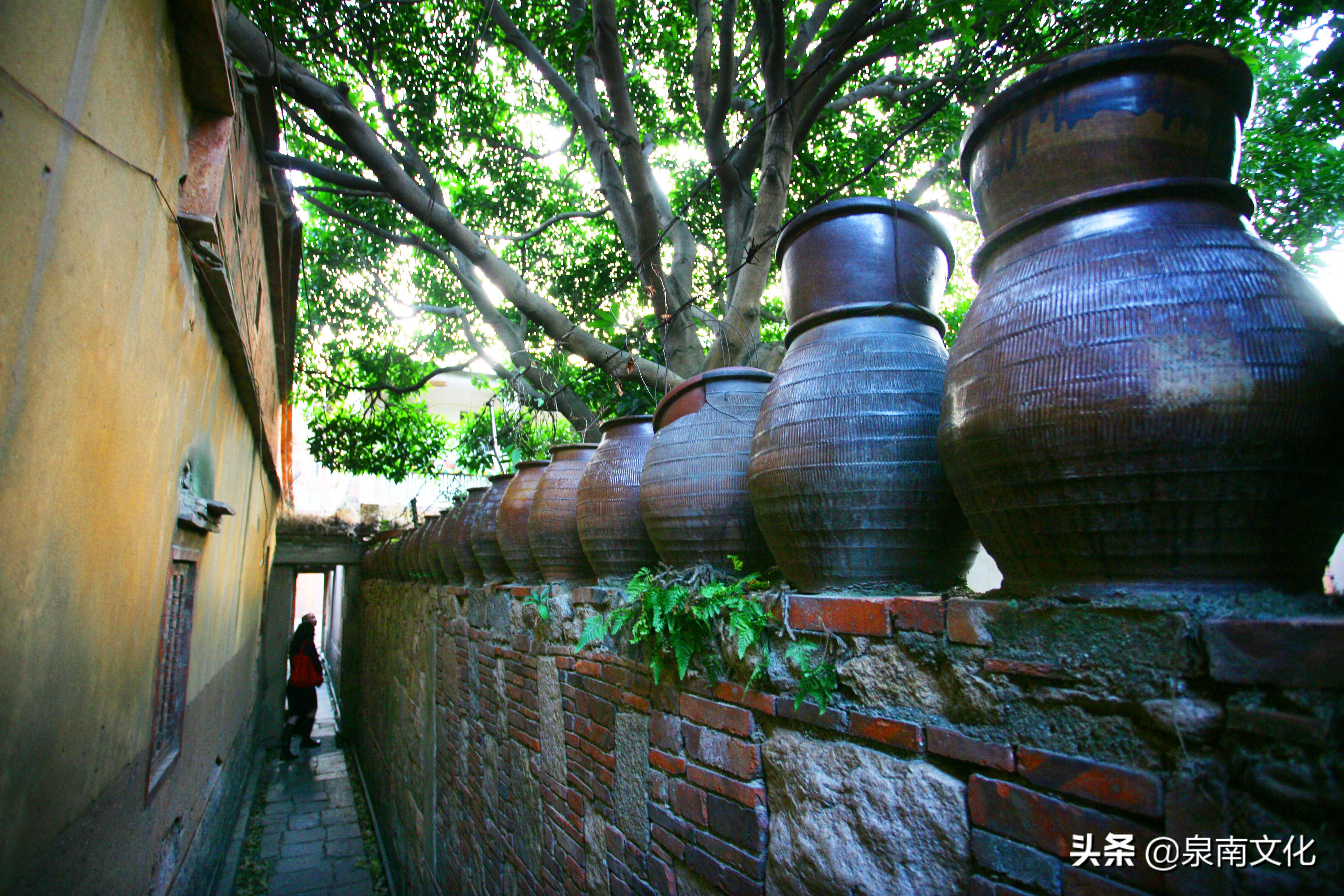 泉州中山路两侧巷道踏勘日记(二)
