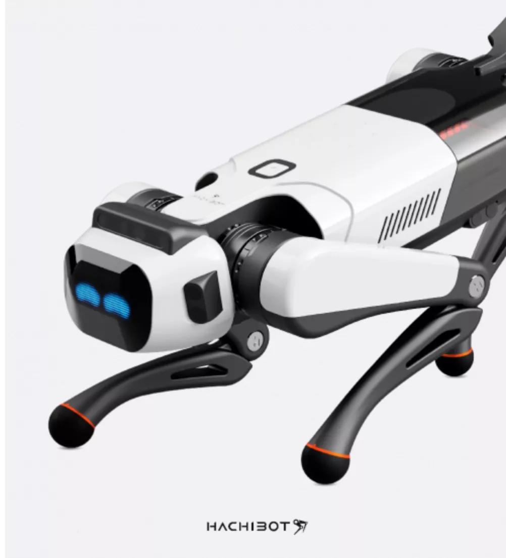 进击的机器人,进击的机械狗在哪里