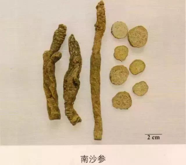 中药材图片大全大图带药名,200多味中药材图谱带图