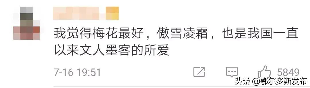 为什么选牡丹为国花,牡丹被定义为国花