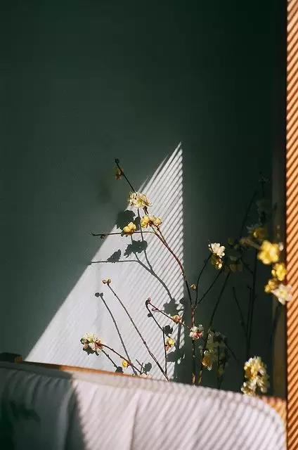 或许你并不了解卢卡斯音频,也许你不太了解图片