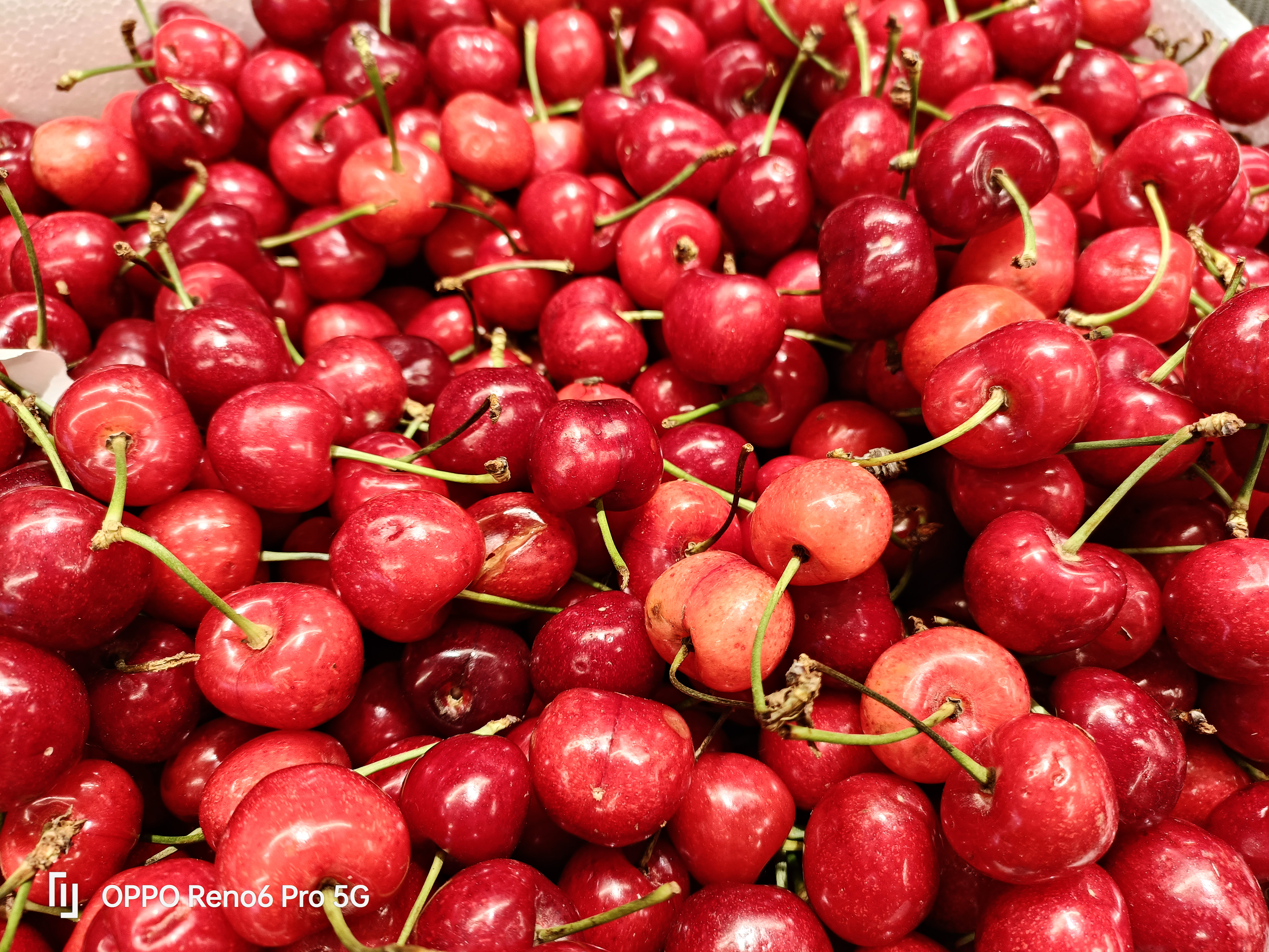 不只是人像好看，Reno6Pro实拍多场景体验，一键出片爽感拉满