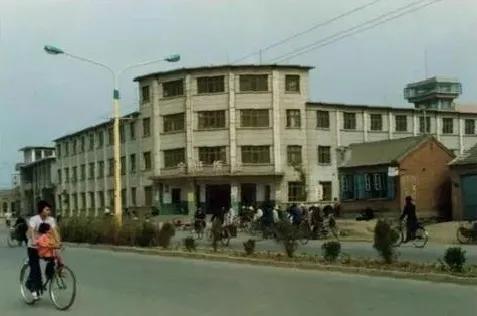 天津泰达队史,天津泰达队史最好的老球员