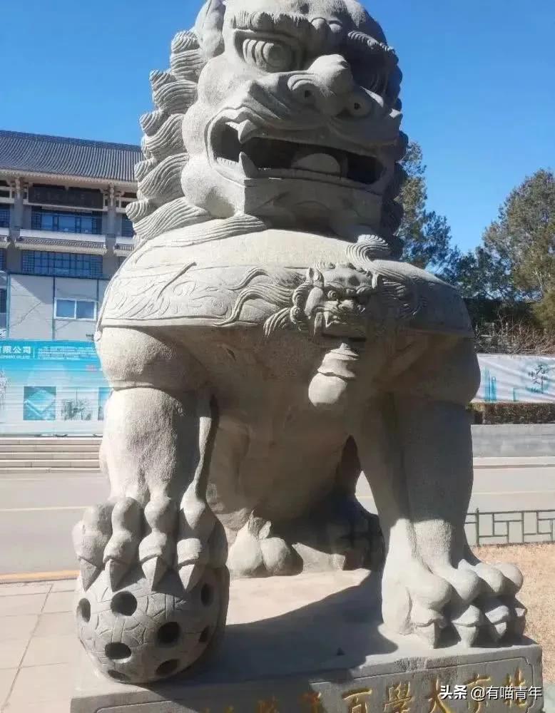 北大石狮子绝育事件,北大石狮子修复了吗