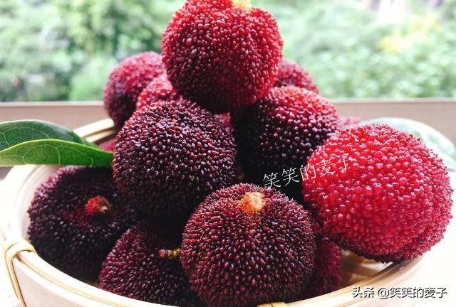 洗杨梅的时候在水里加一勺盐,怎样才能让杨梅没有那么多虫子飞