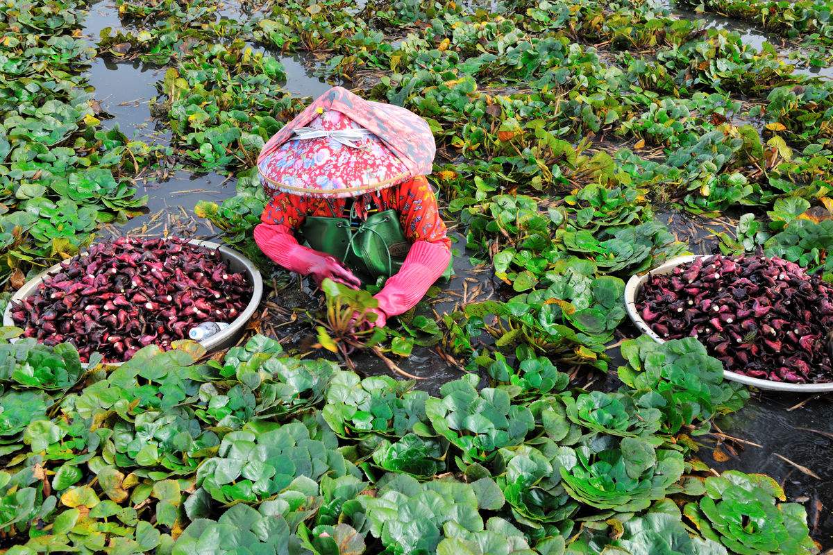 笠翁对韵启蒙经典,笠翁对韵国学启蒙