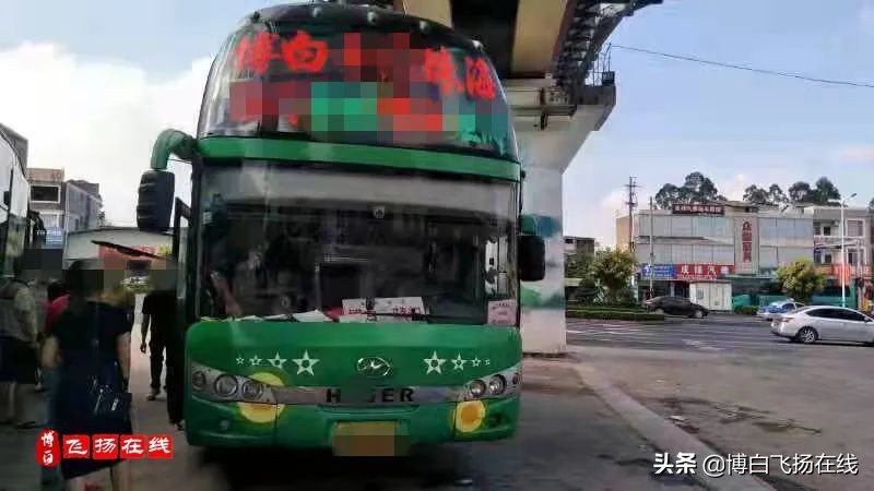 我是猪仔粤语版开头搞笑,我是猪仔原视频