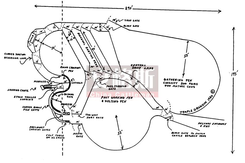 牛的行为与精细饲养管理技术指南,牛的行为学