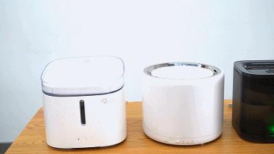 宠物饮水机“漏电”化身杨永信！你还敢让猫咪用它喝水吗？