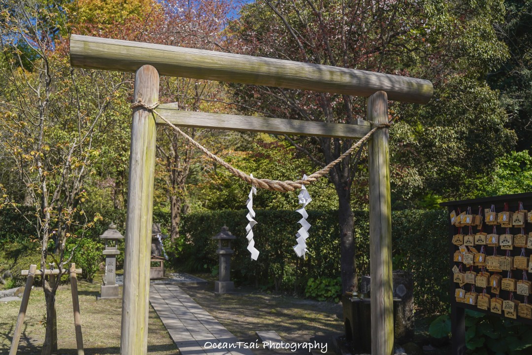 日本游轮游避坑,日本邮轮八天七夜具体行程