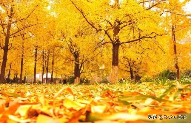 广西乡下田园最美风景图片,广西十大最美风景区