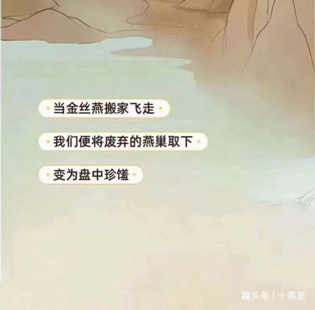 燕窝真实故事视频,燕窝的相关记载