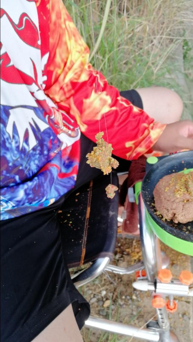 天气转凉大河野钓,天气炎热钓浅滩