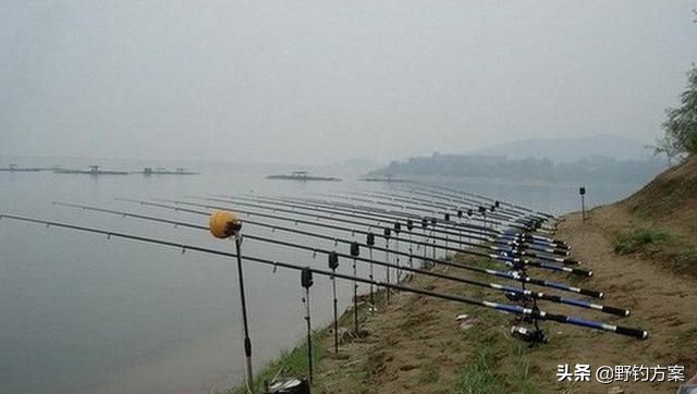 泥鳅党钓鱼有多大危害,钓鱼遇到泥鳅党有什么影响