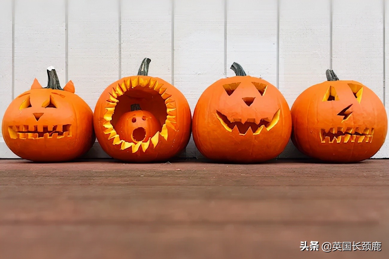 南瓜大作战攻略,南瓜大作战有几个地点