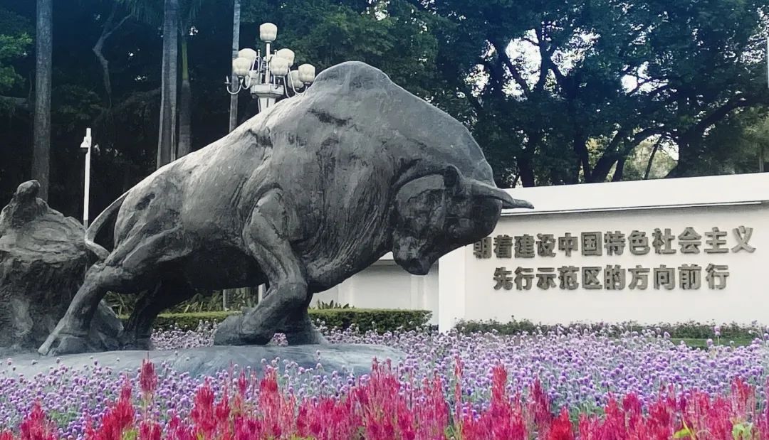 什么是深圳模式,什么是深圳股票