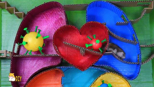 2亿*放播**量的“仓鼠走迷宫”，成了YouTube上的财富密码