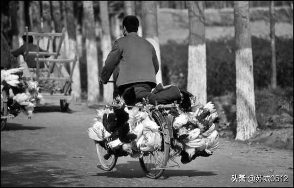 走在80年代的大街上（送给还有80记忆和90后的朋友）-2