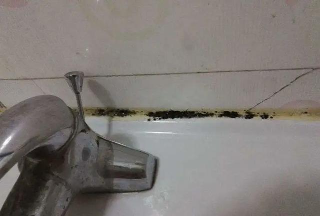 墙壁发霉怎么防止渗水,墙壁发霉怎么抹掉