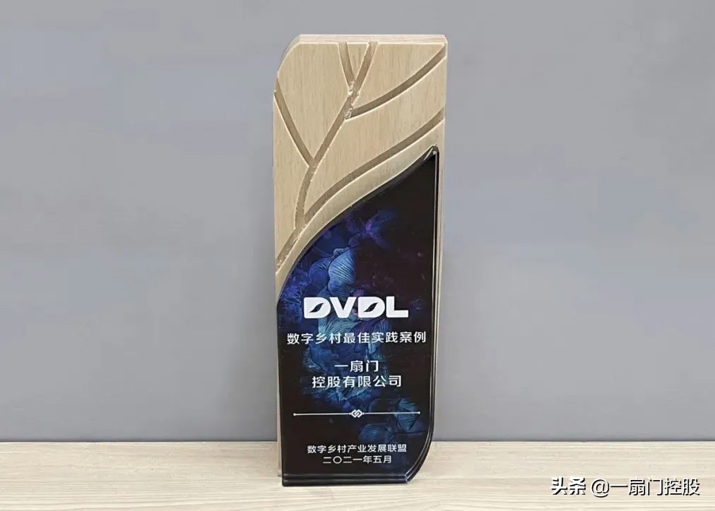 打造数字乡村的经验启示,如何打造数字乡村